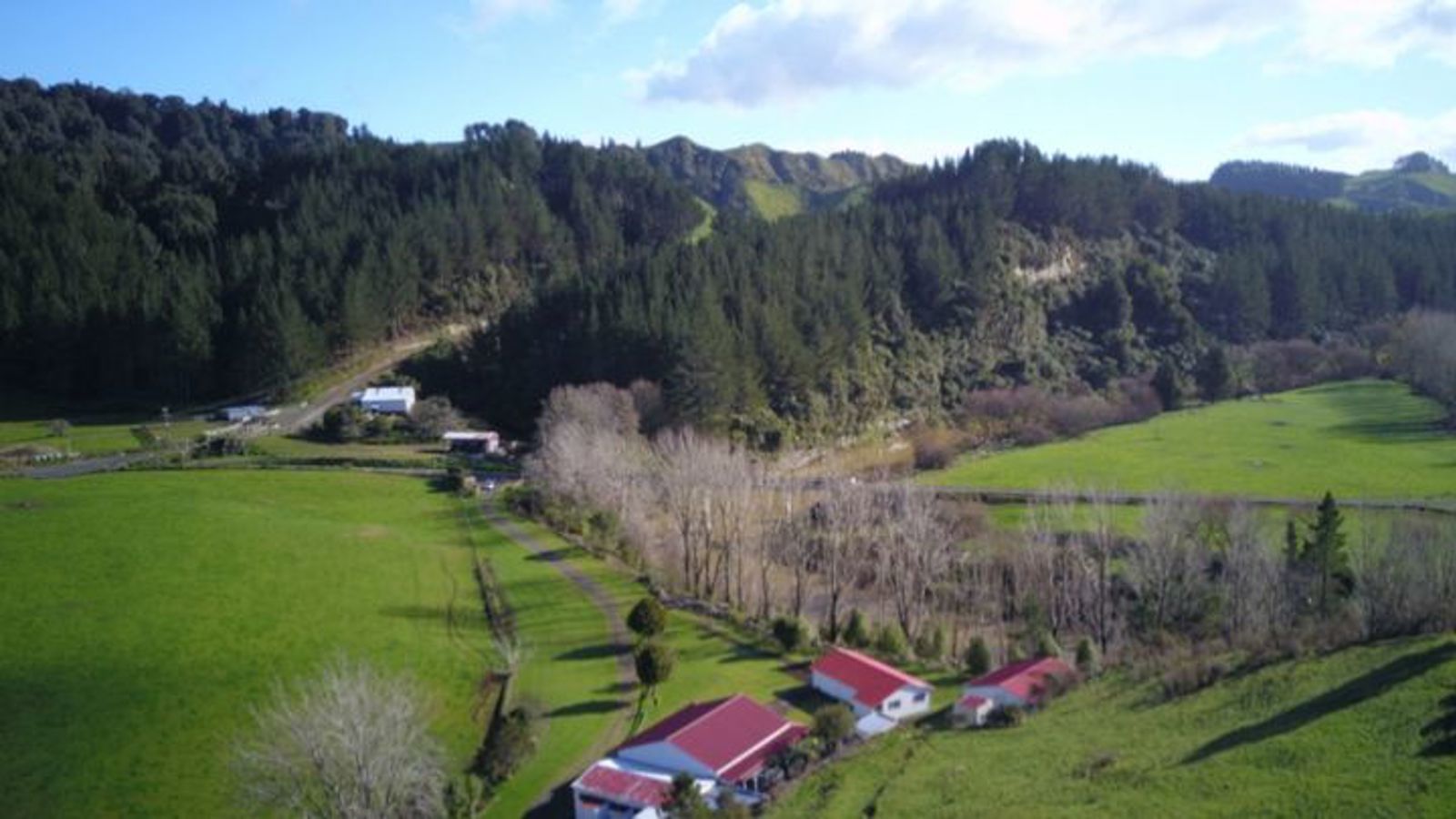 Forestry view