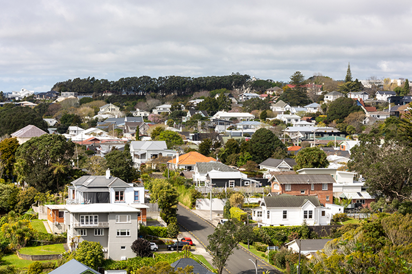 New Plymouth street