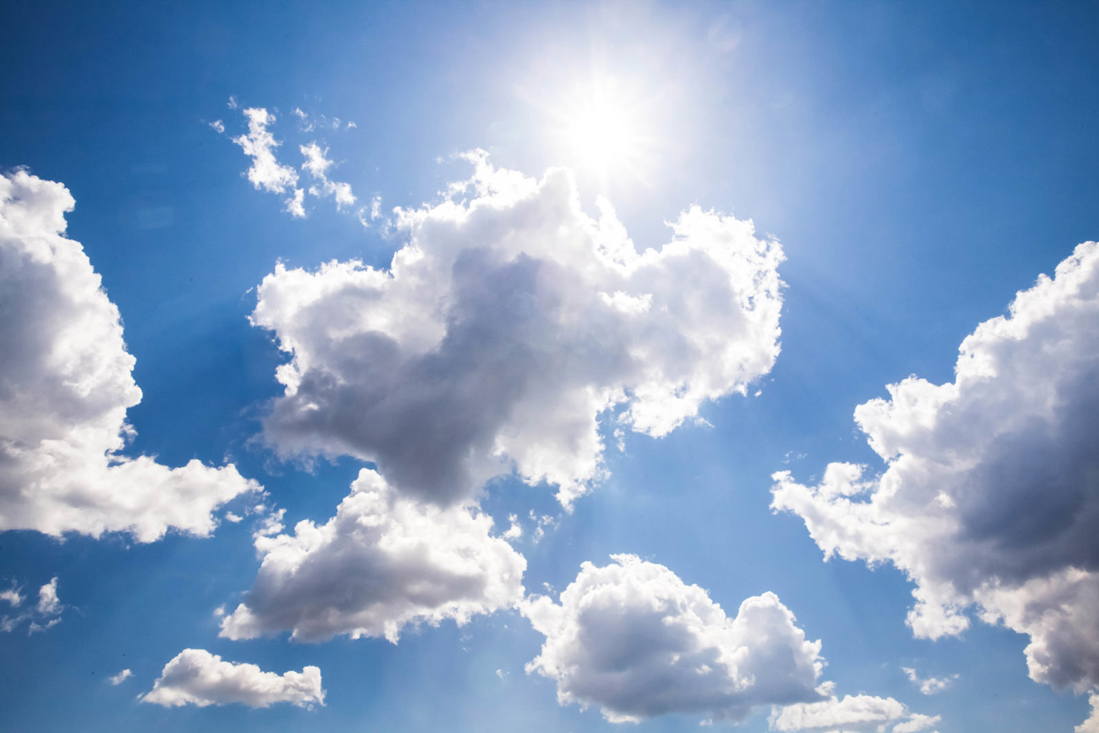 Sunny Sky
