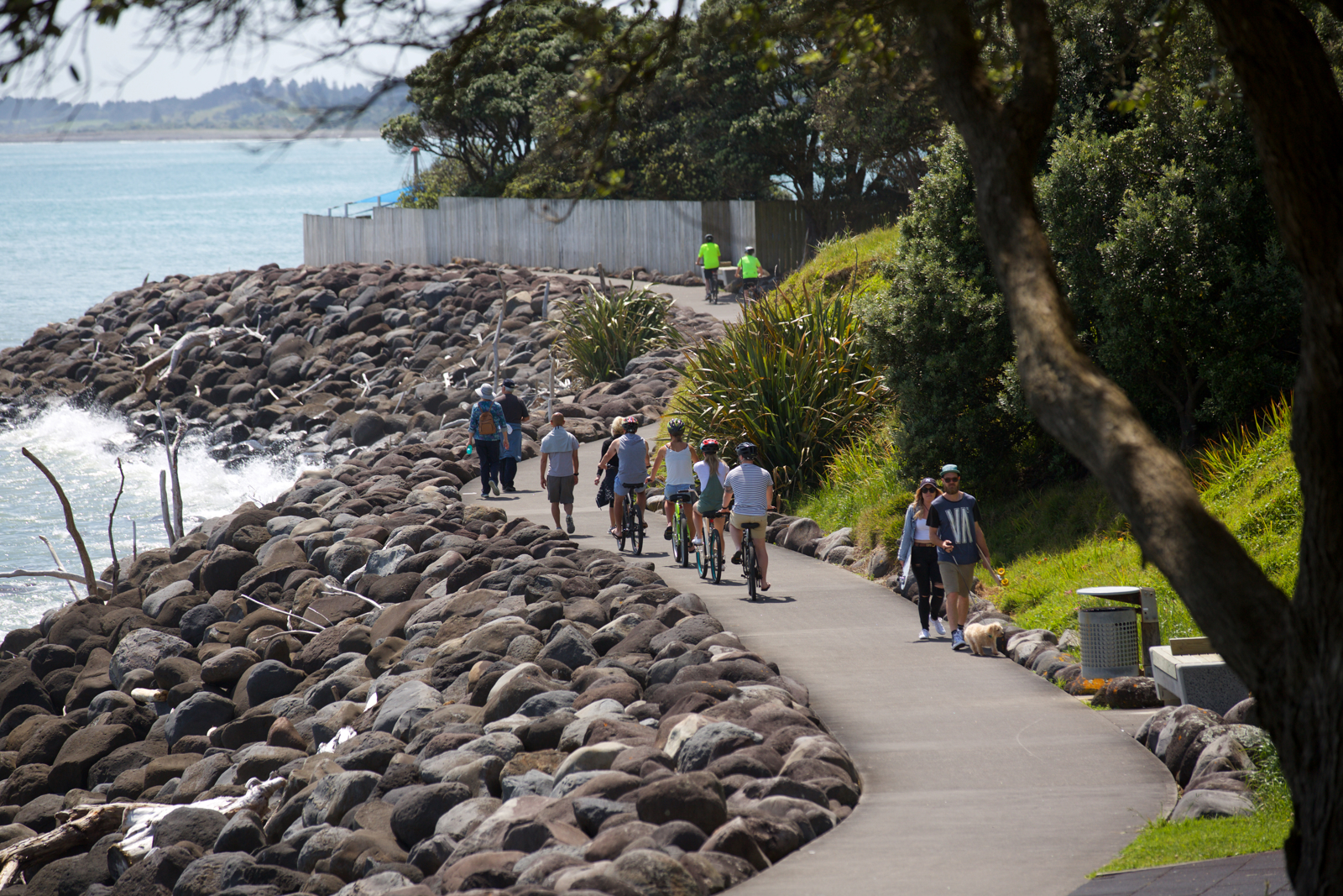 coastal walkway