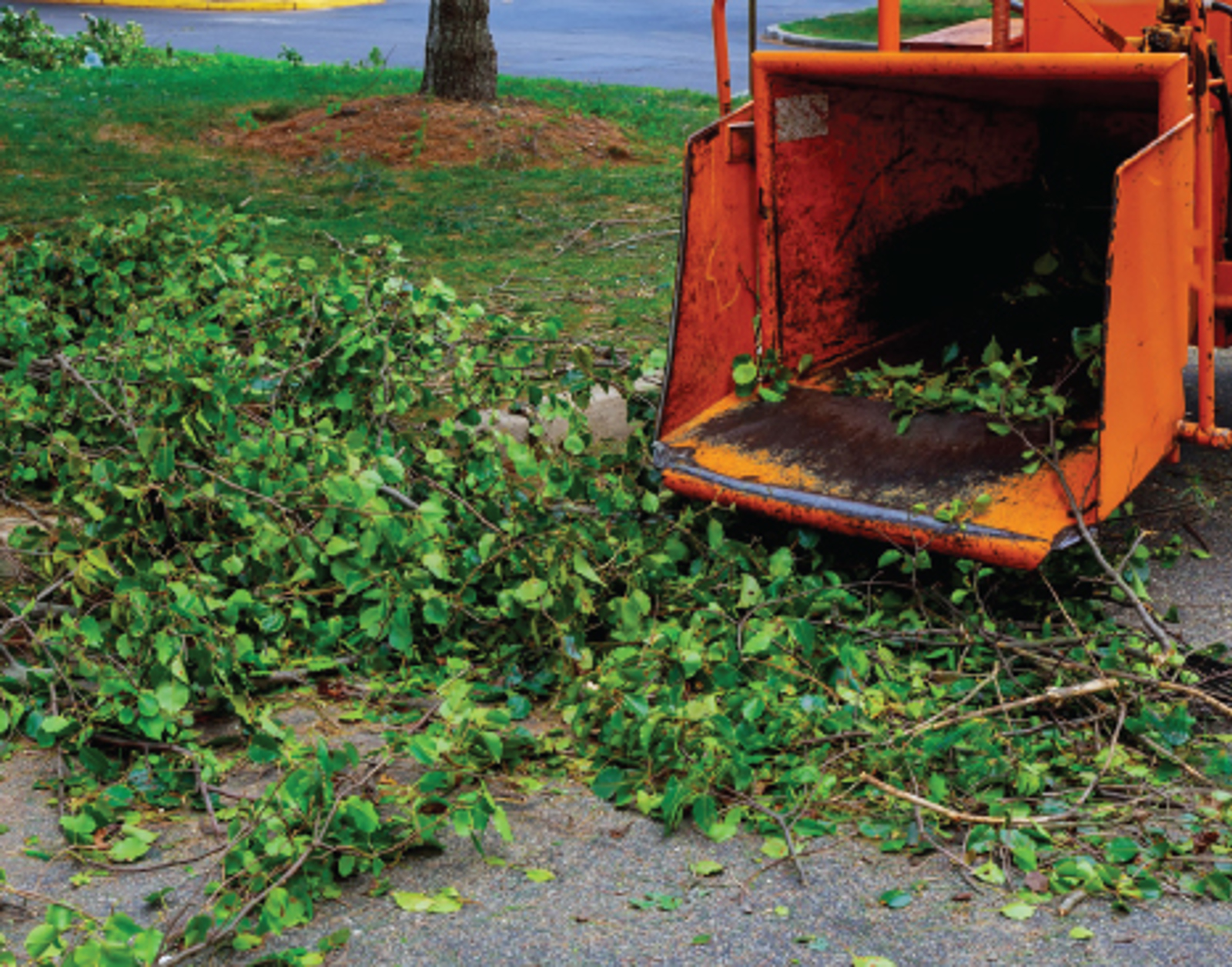 Green waste