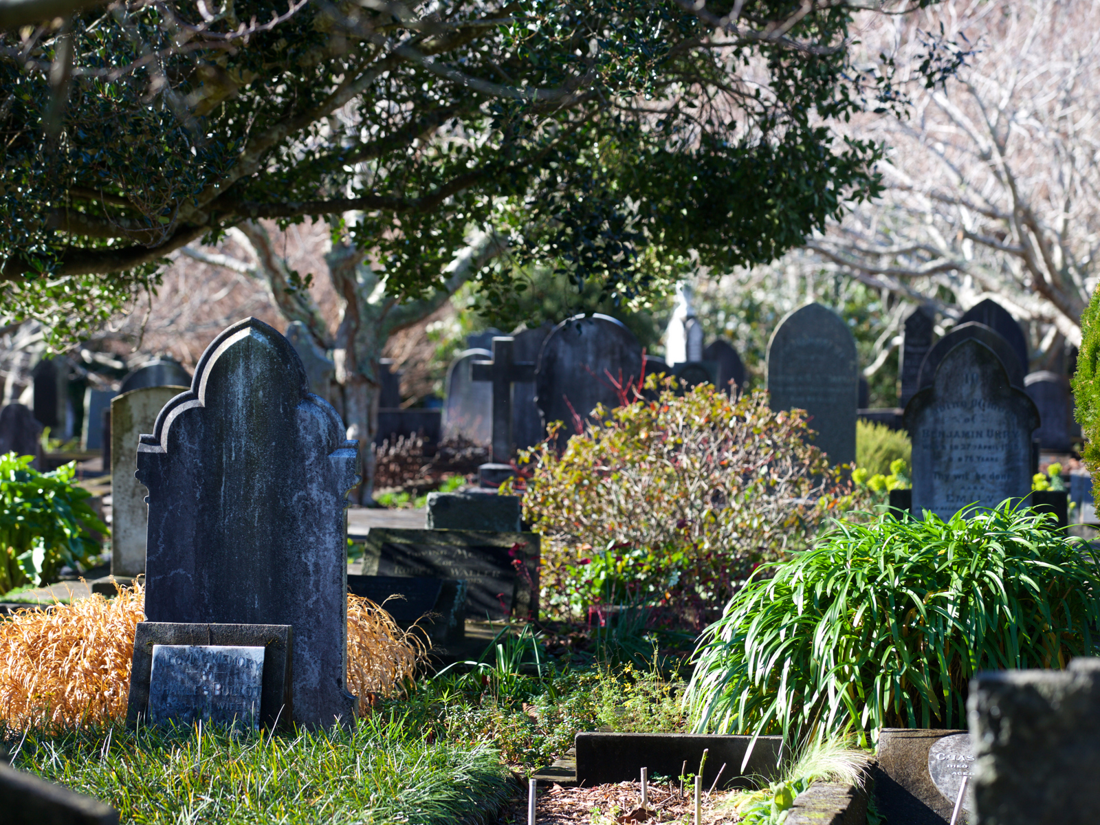 Te Henui cemetery