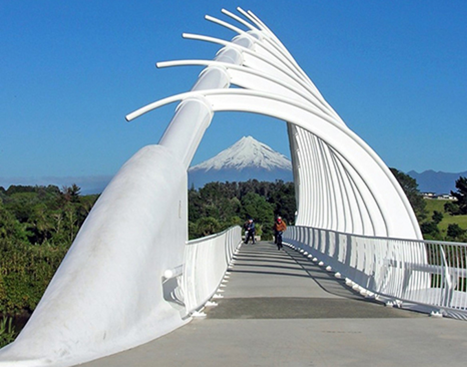 Te Rewarewa bridge