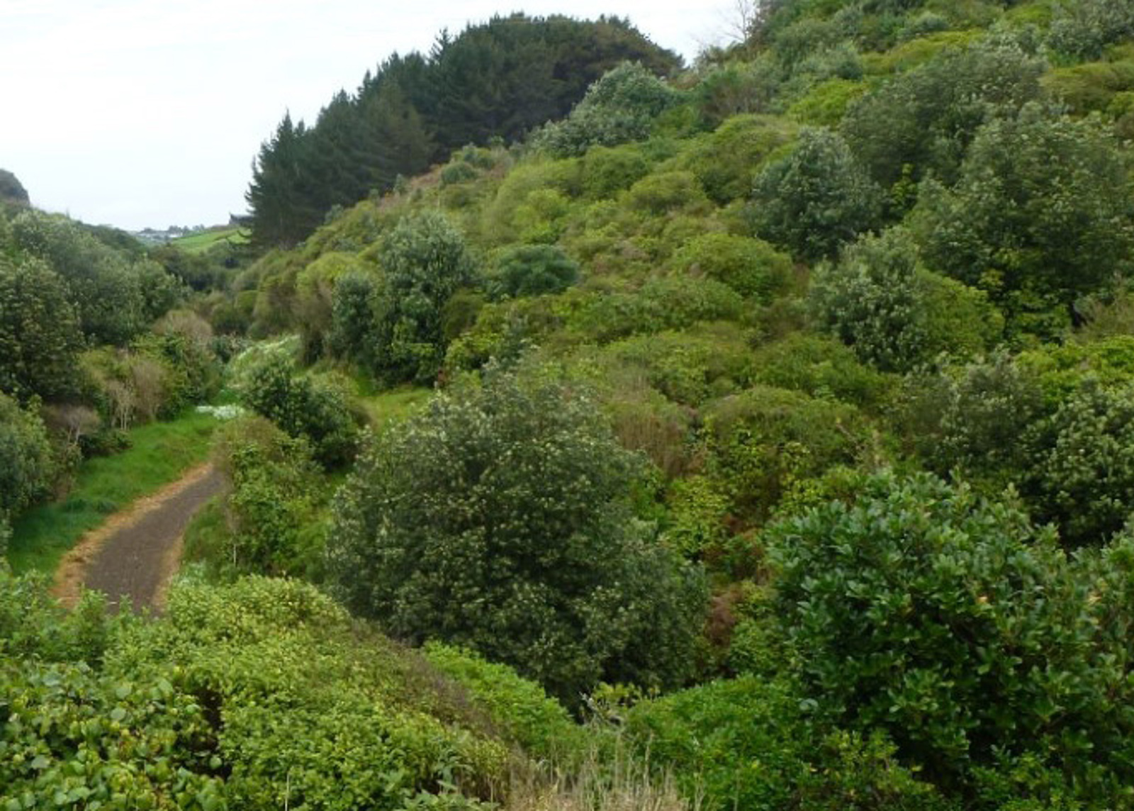 Green Spaces.