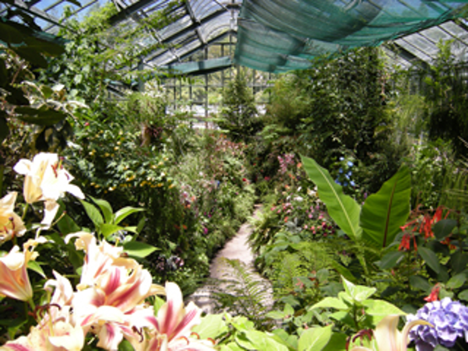 Fernery and Display Houses