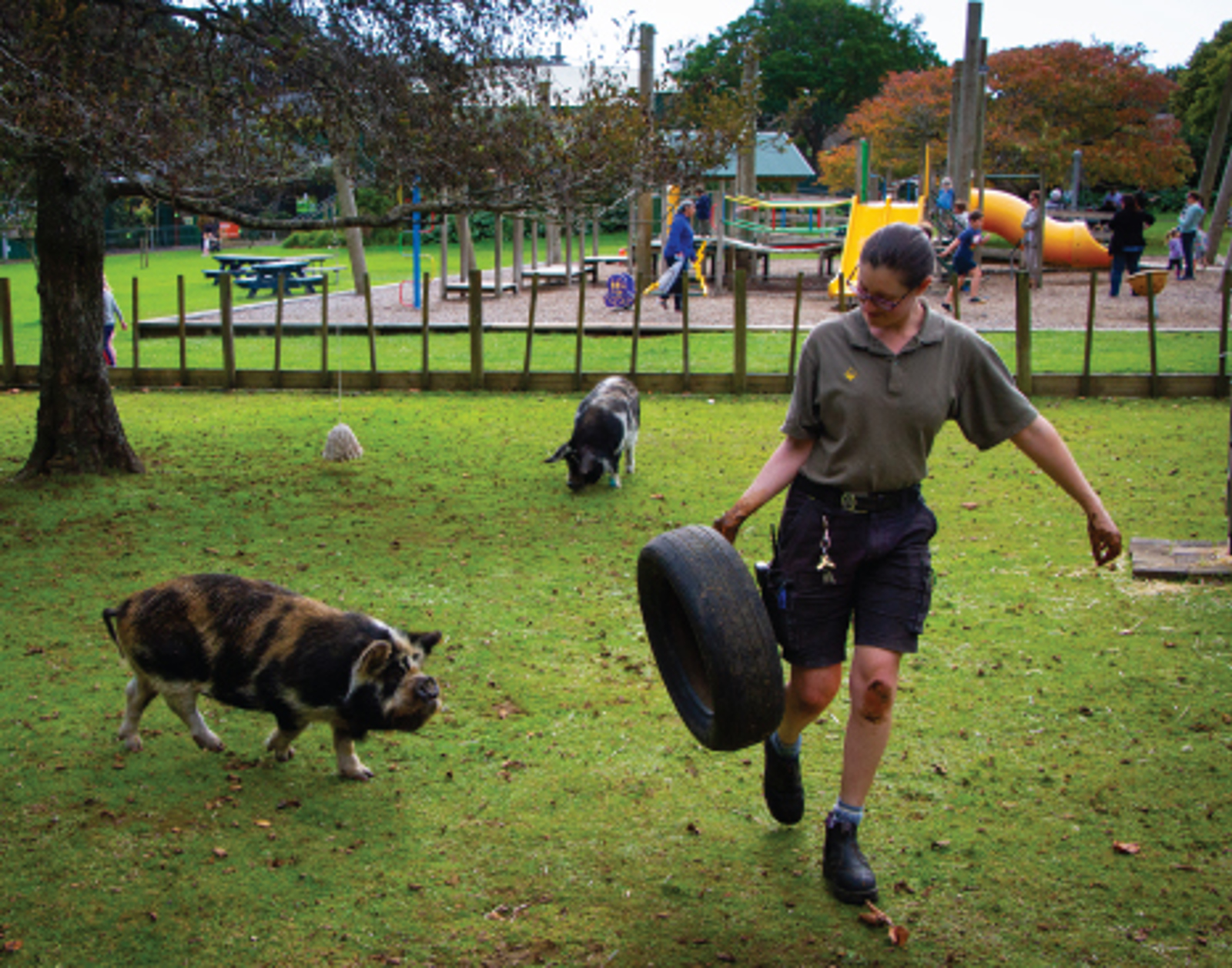 Volunteer with pig