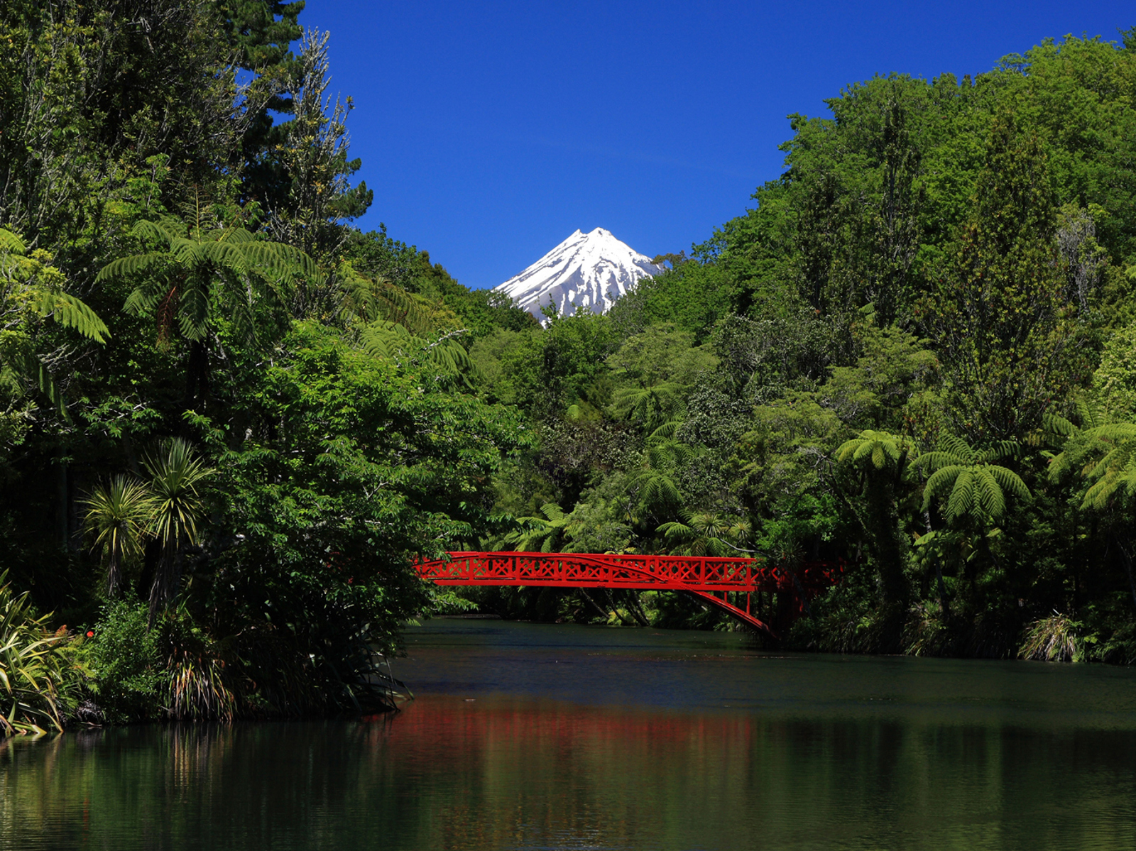 pukekura park