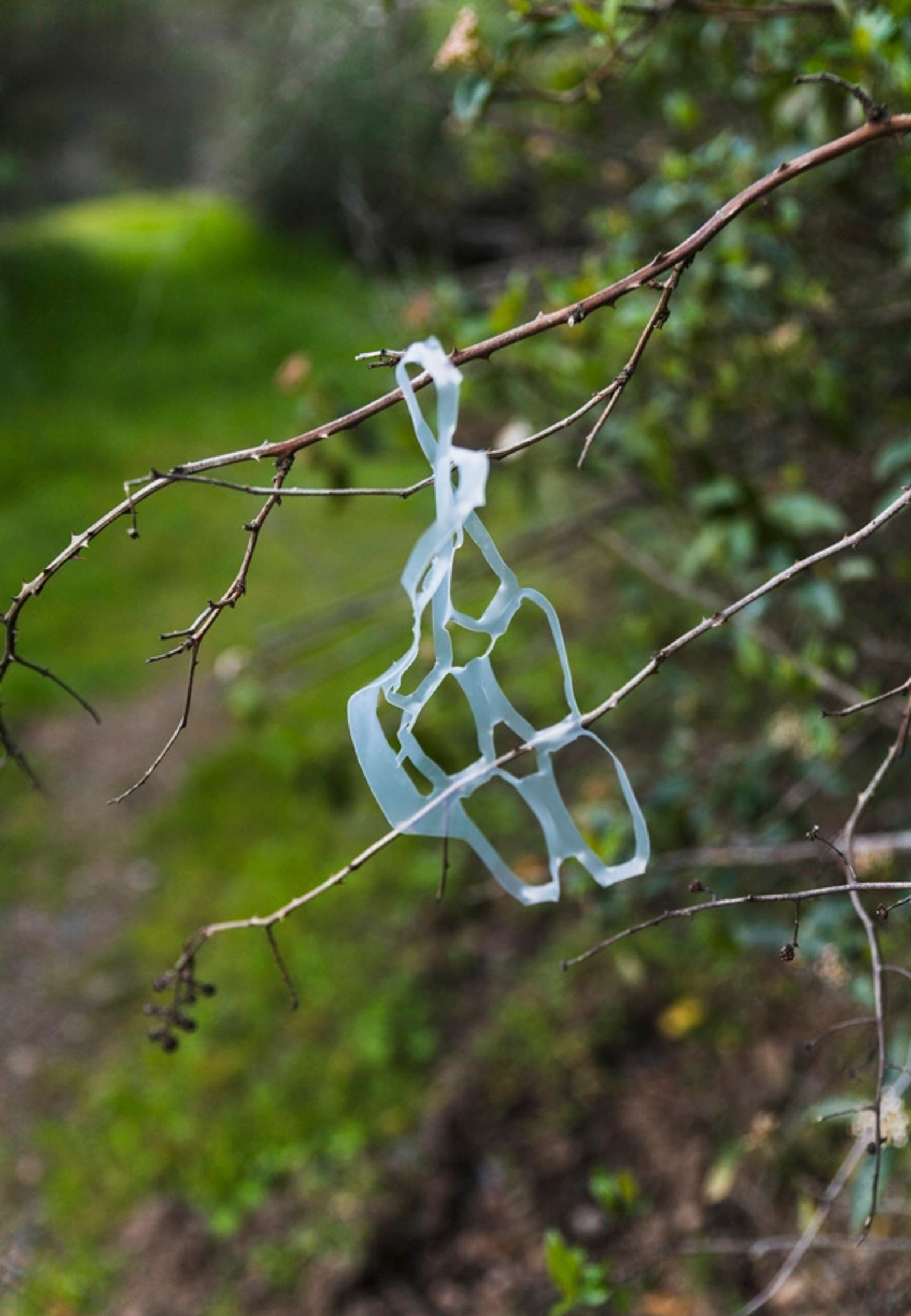 Litter in tree.