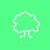 Green credentials icon 