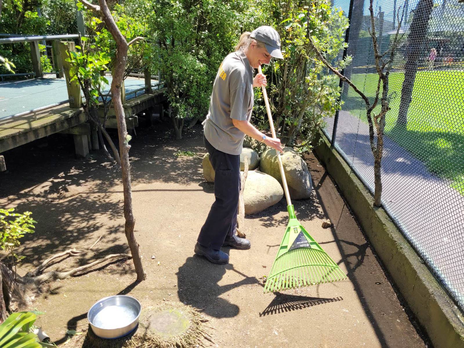 Volunteer at Brooklands Zoo.