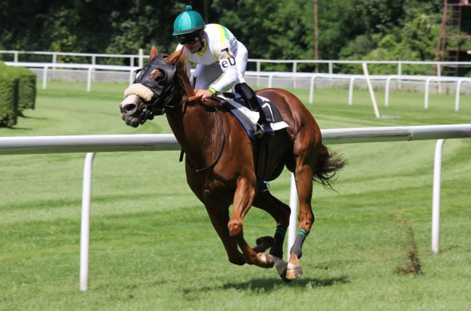 Horse racing