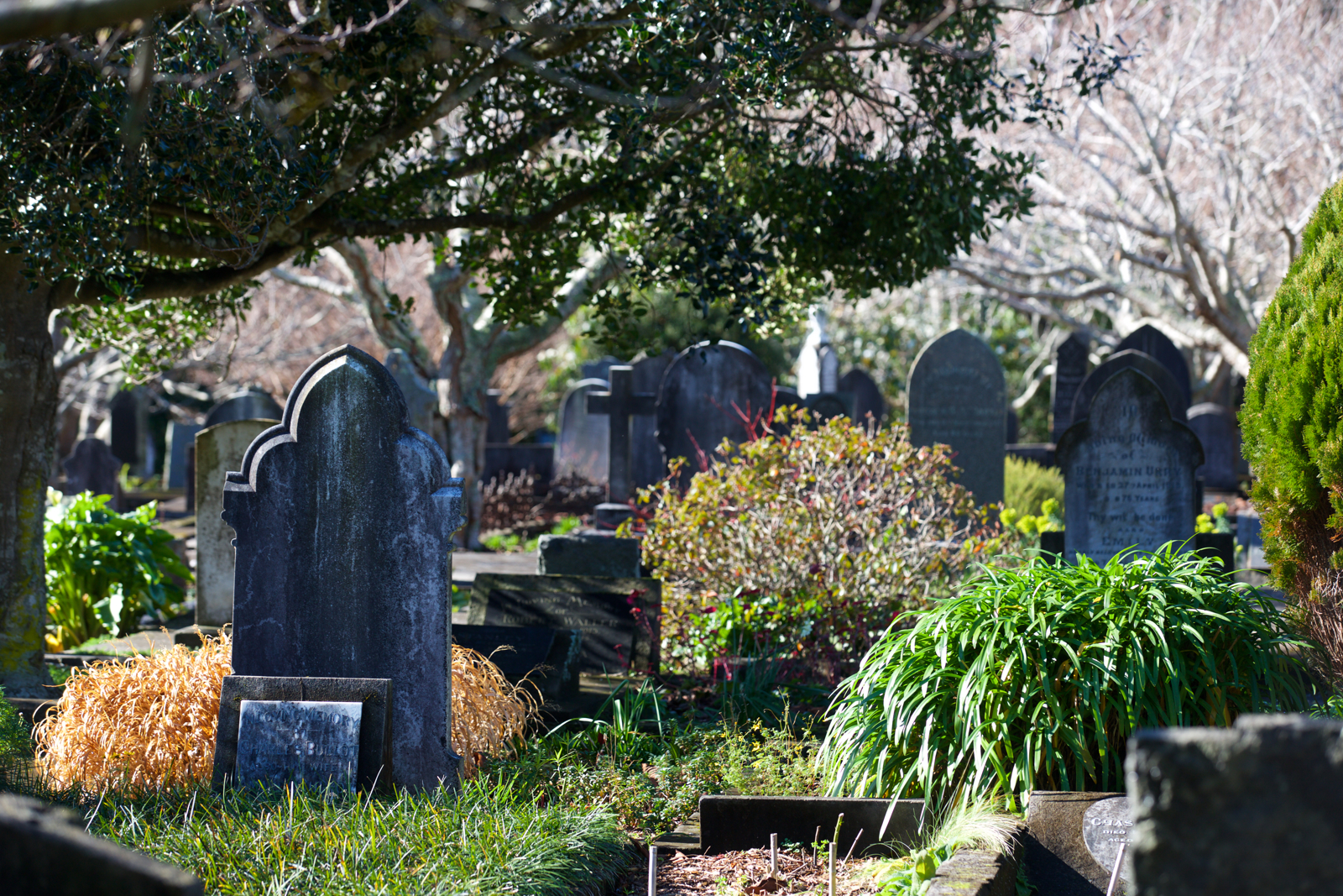 Te Henuit cemetery