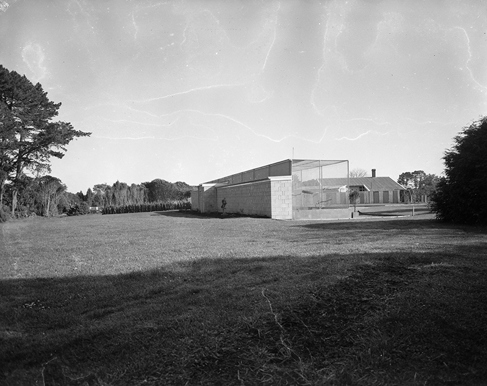 Zoo Aviary Construction