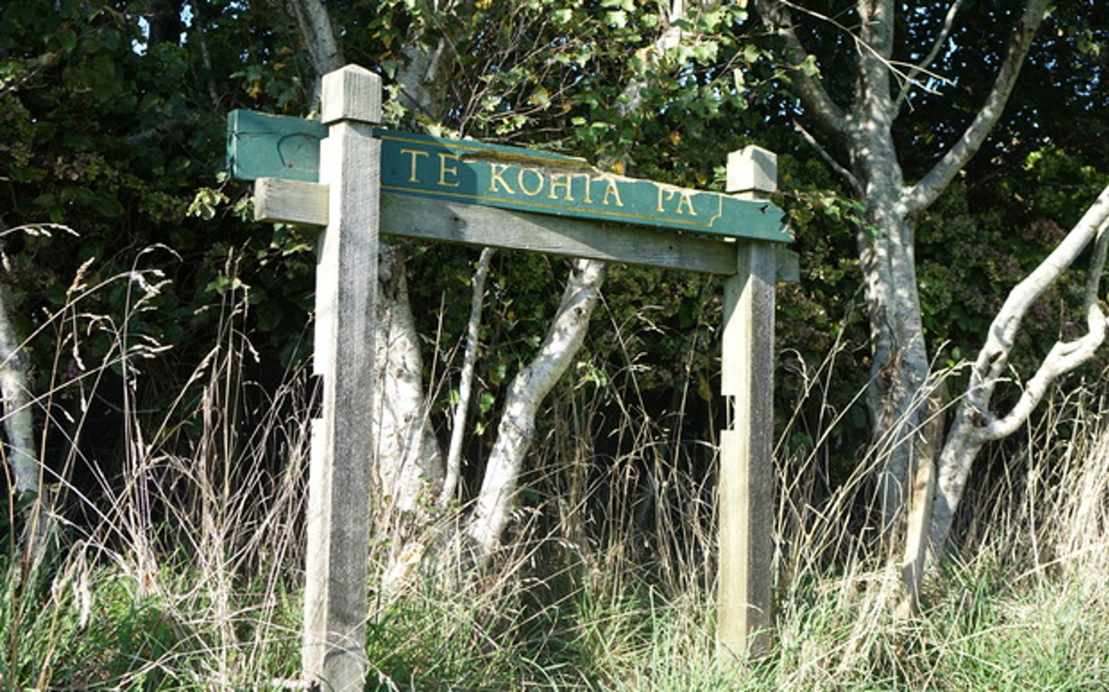 Sign post
