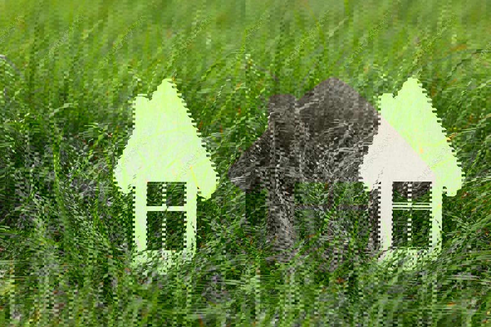 small wooden house structure on green grass
