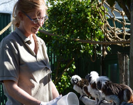 Jo - The Zookeeper