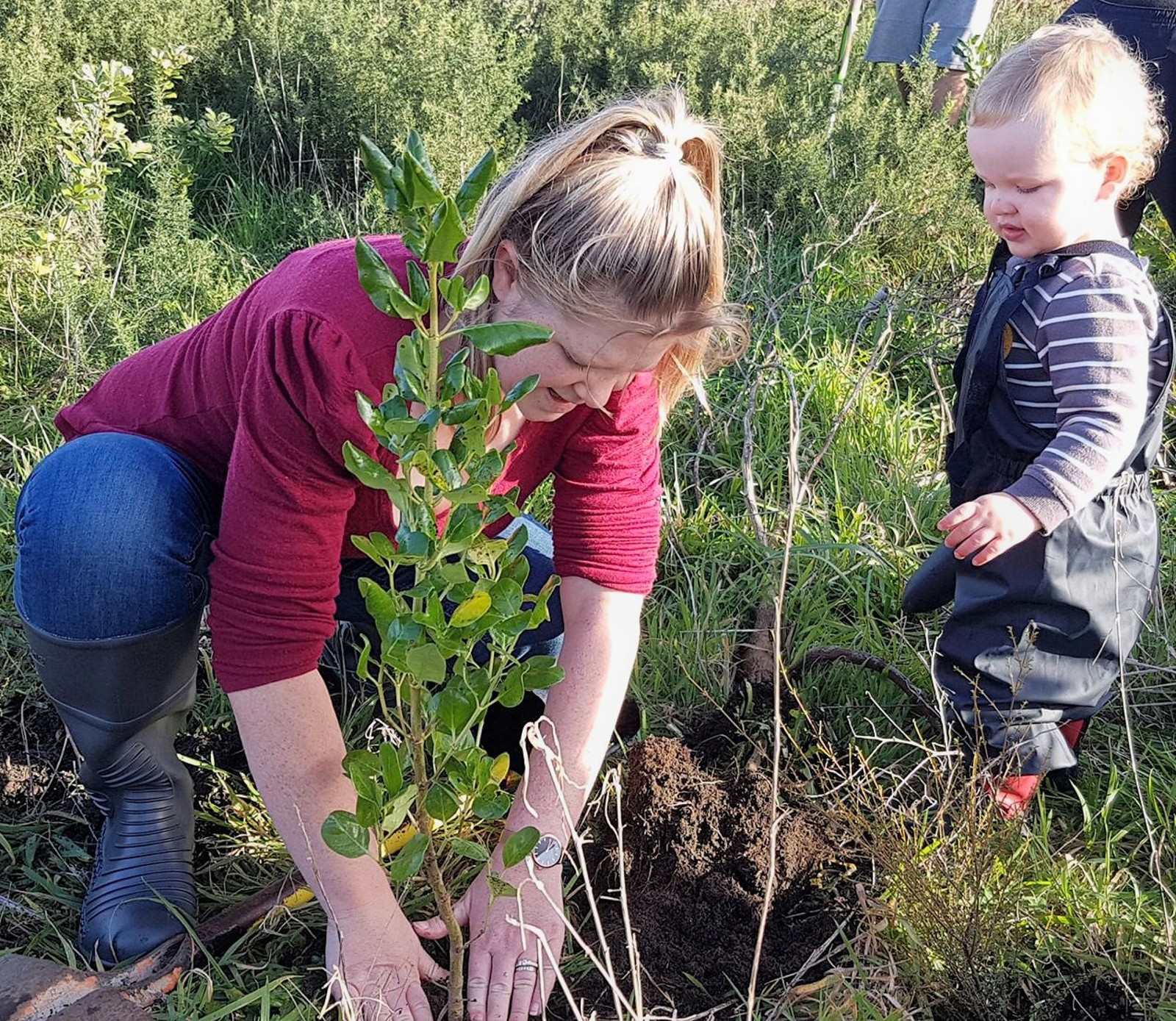 Planting our Place