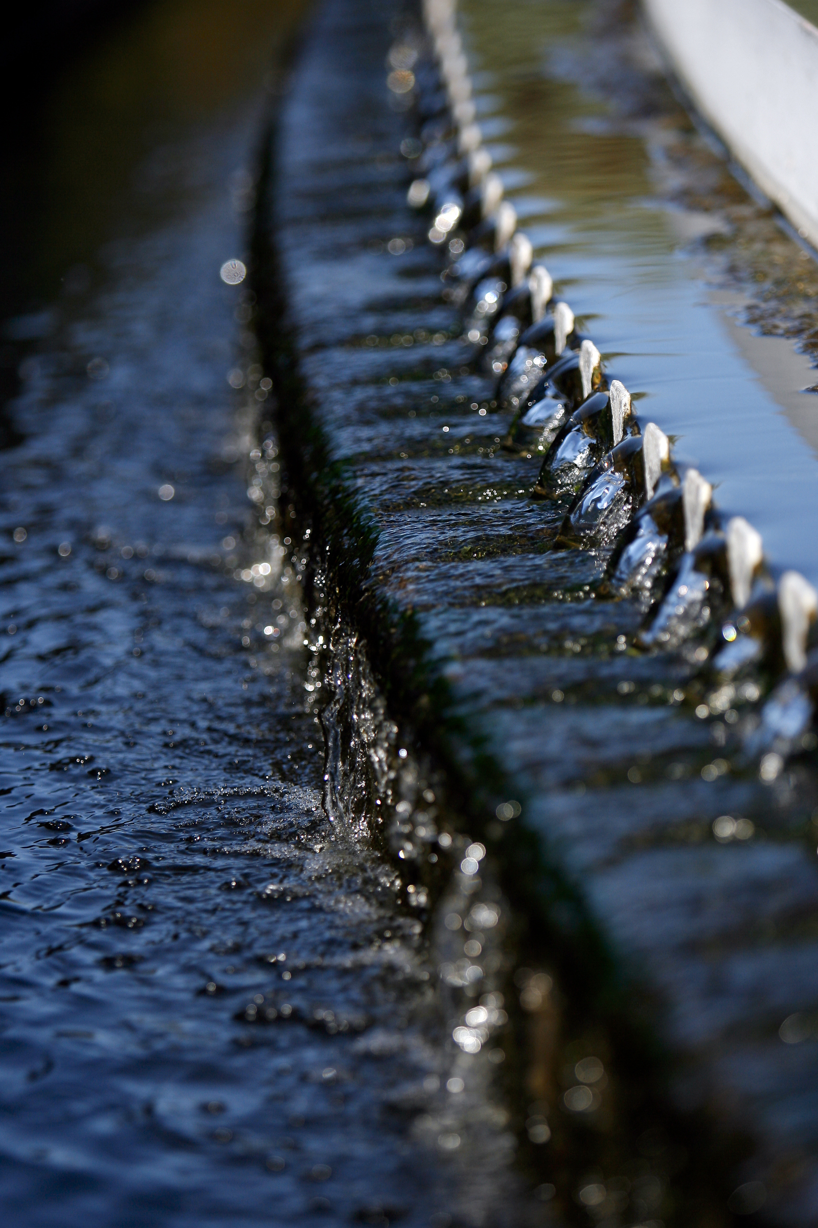 sewerage
