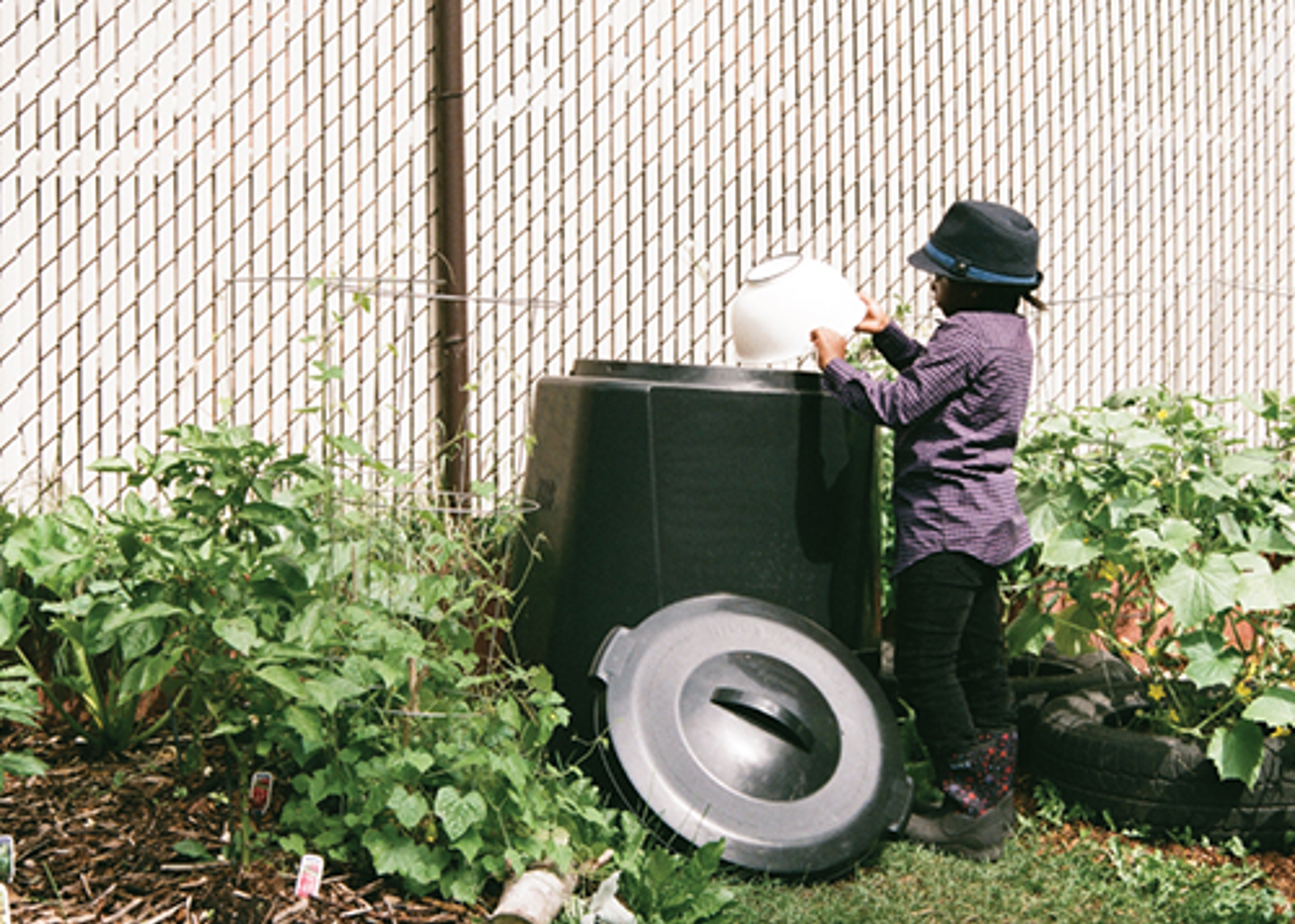 Composting. 