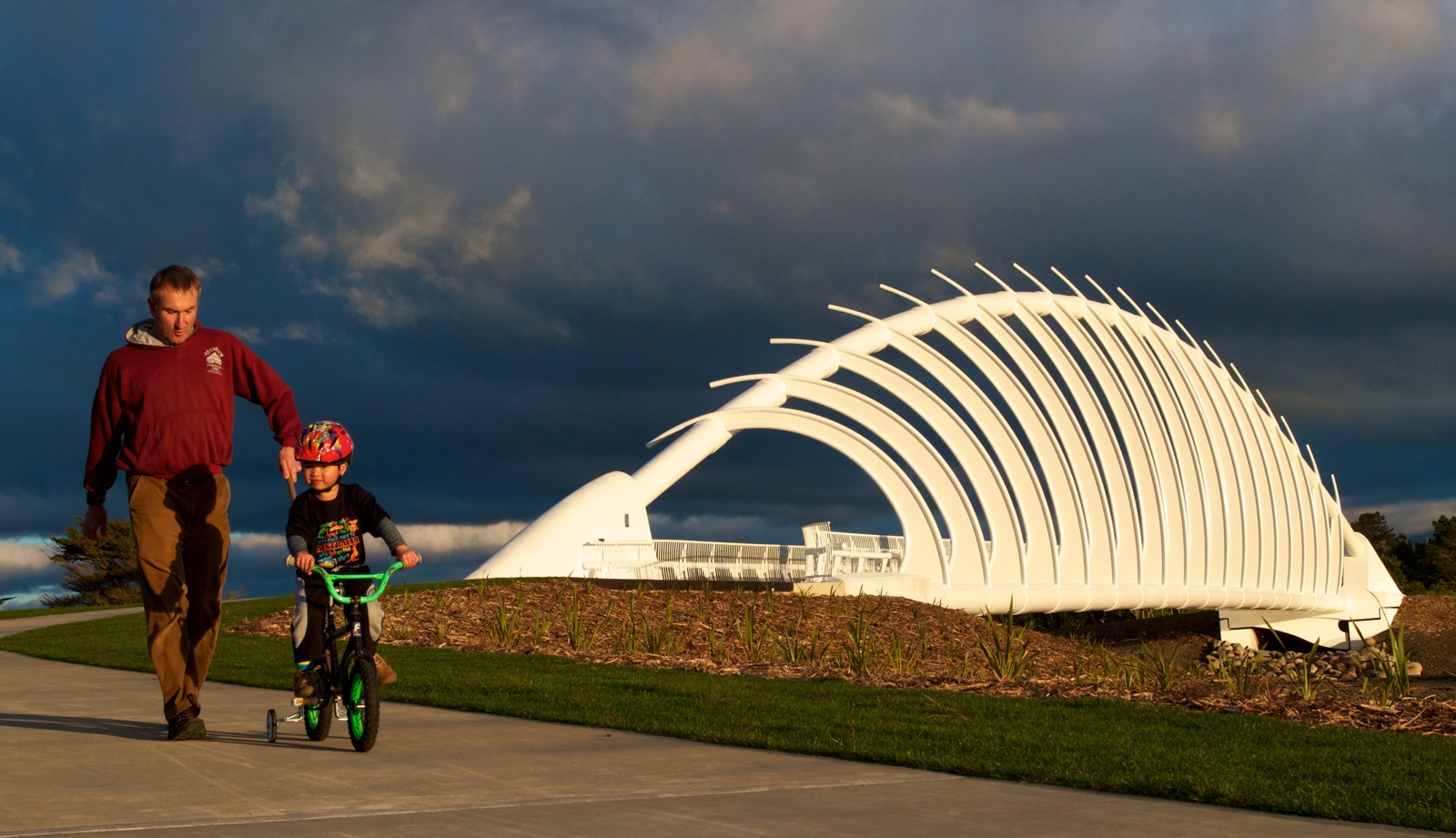 Te Rewa Rewa bridge