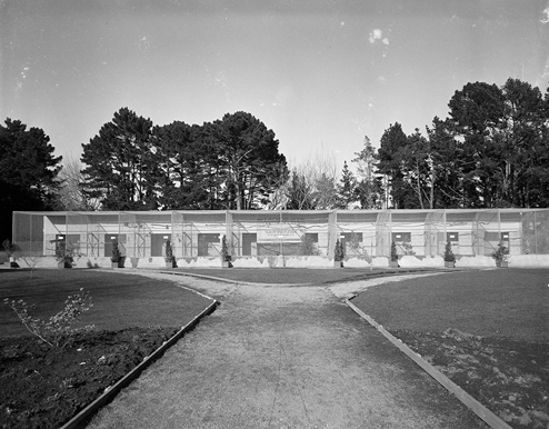 Zoo Aviary Construction (2)