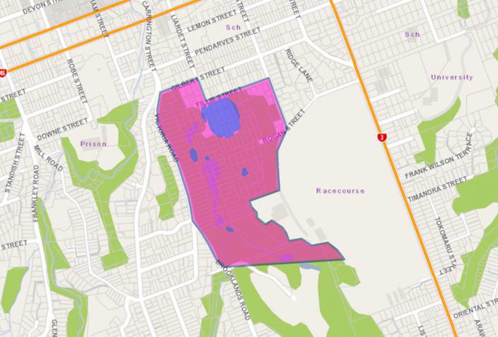 Alcohol ban map of Pukekura Park