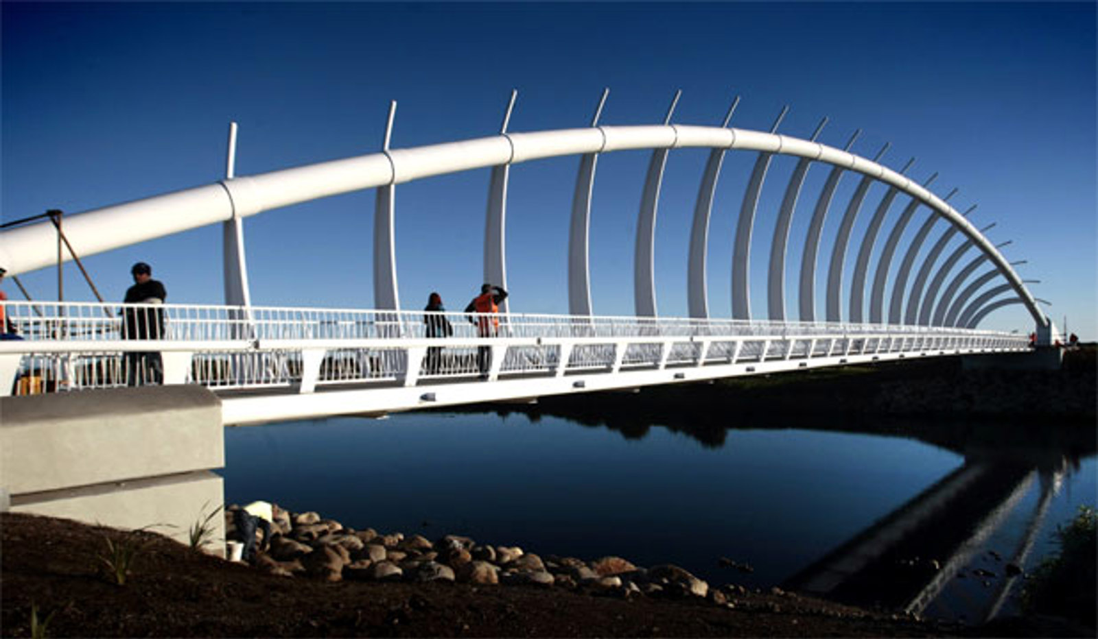 Te Rewa Rewa bridge
