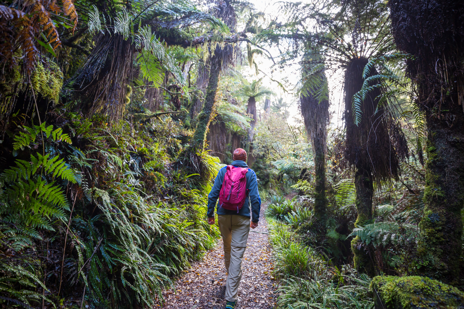 Tramping