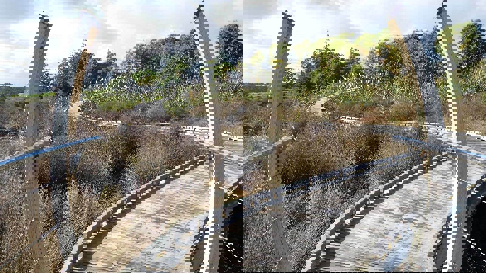 Waitara Boardwalk September 2021. 