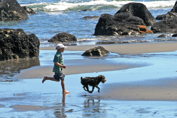 boy and dog on beach