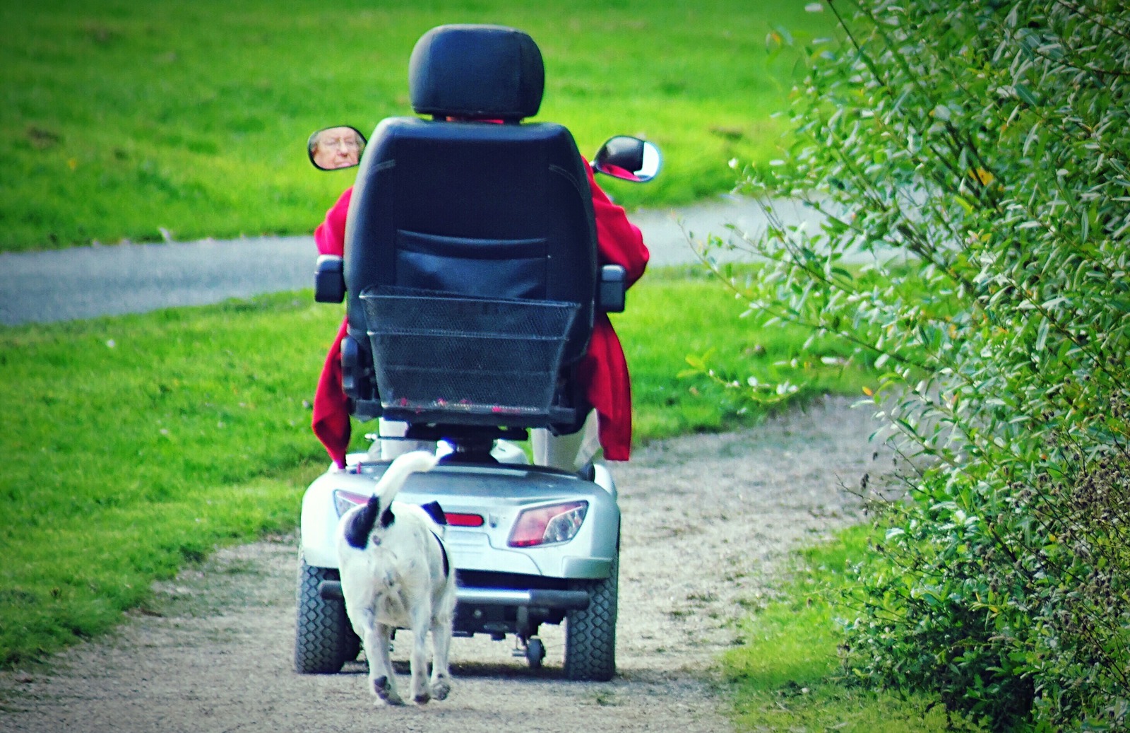 mobility scooter